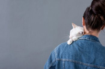 Conexão emocional com os animais de estimação